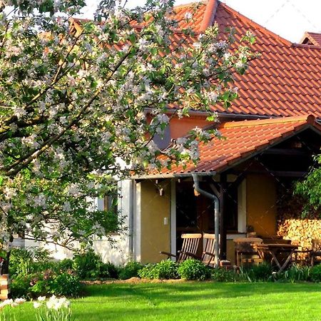 Janischs Fewo Im Spreewald, Terrasse, Grosser Garten Und Blick Inklusive Unterspreewald Luaran gambar