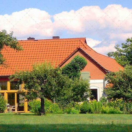 Janischs Fewo Im Spreewald, Terrasse, Grosser Garten Und Blick Inklusive Unterspreewald Luaran gambar