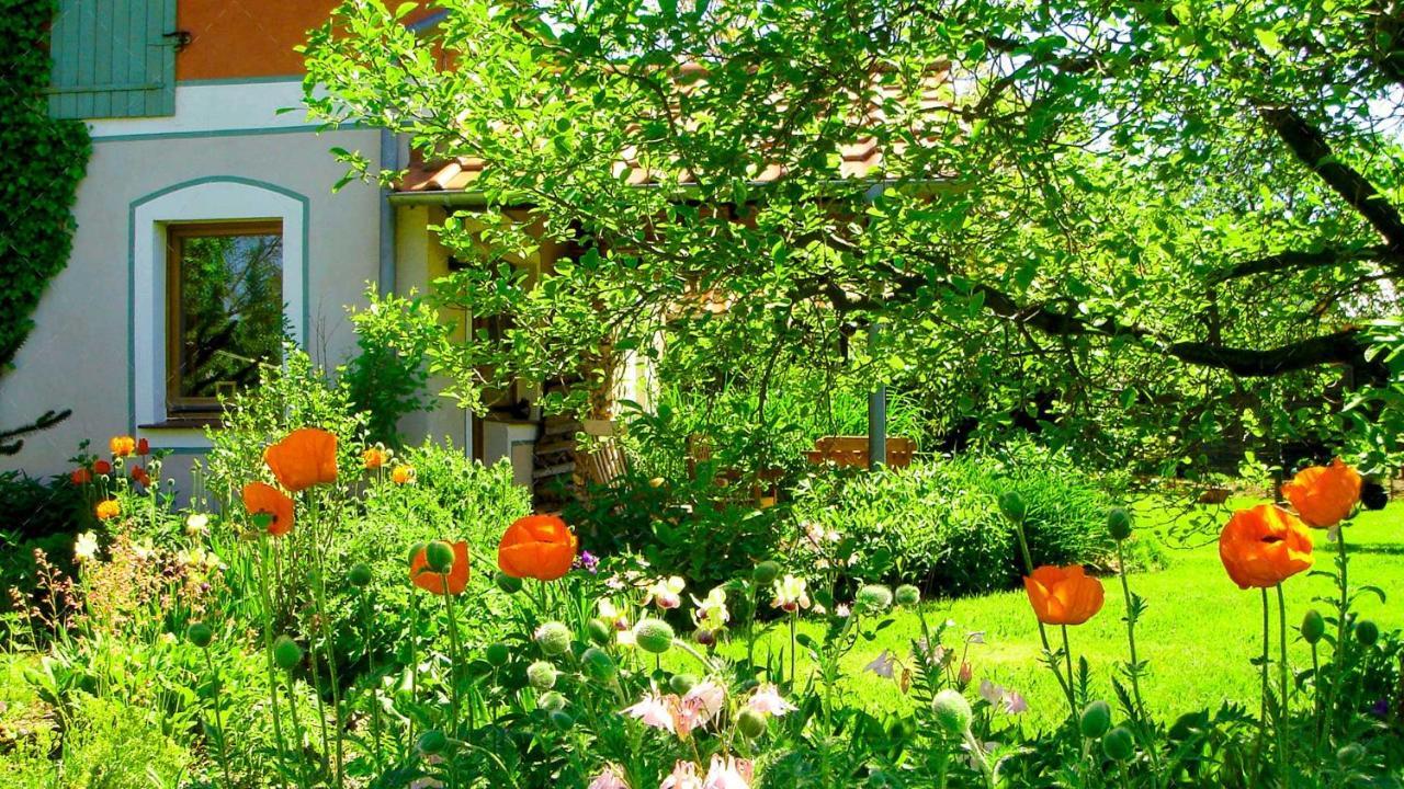 Janischs Fewo Im Spreewald, Terrasse, Grosser Garten Und Blick Inklusive Unterspreewald Luaran gambar