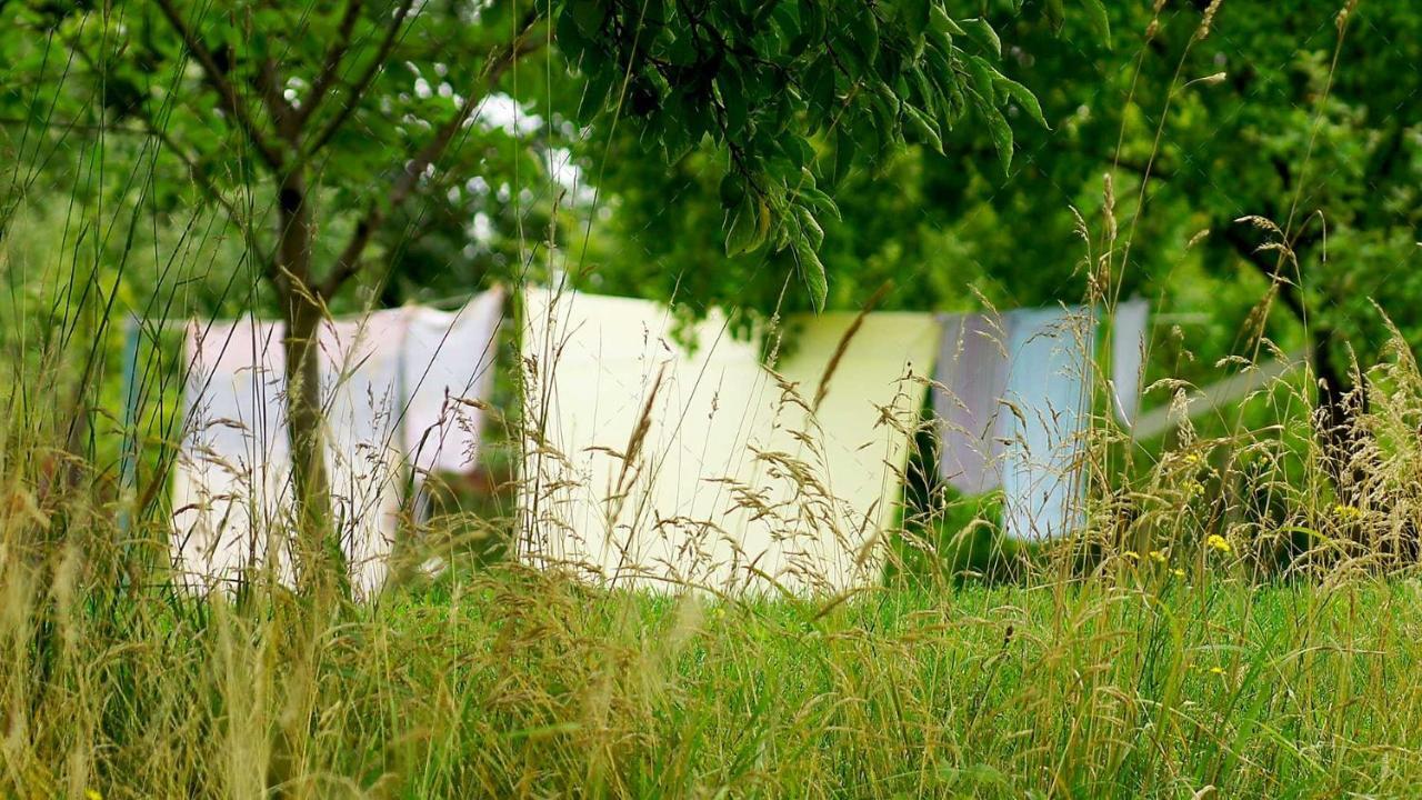 Janischs Fewo Im Spreewald, Terrasse, Grosser Garten Und Blick Inklusive Unterspreewald Luaran gambar