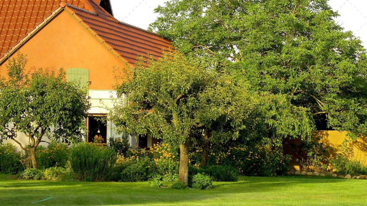 Janischs Fewo Im Spreewald, Terrasse, Grosser Garten Und Blick Inklusive Unterspreewald Luaran gambar