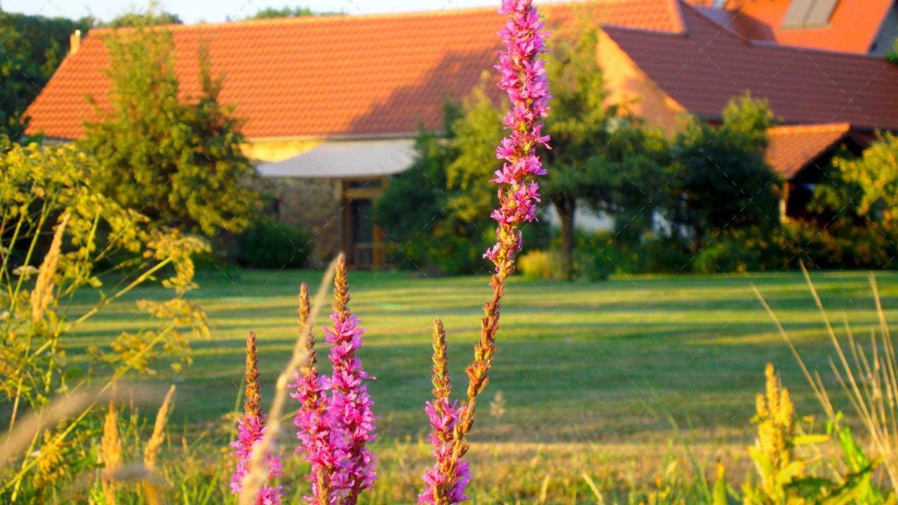 Janischs Fewo Im Spreewald, Terrasse, Grosser Garten Und Blick Inklusive Unterspreewald Luaran gambar