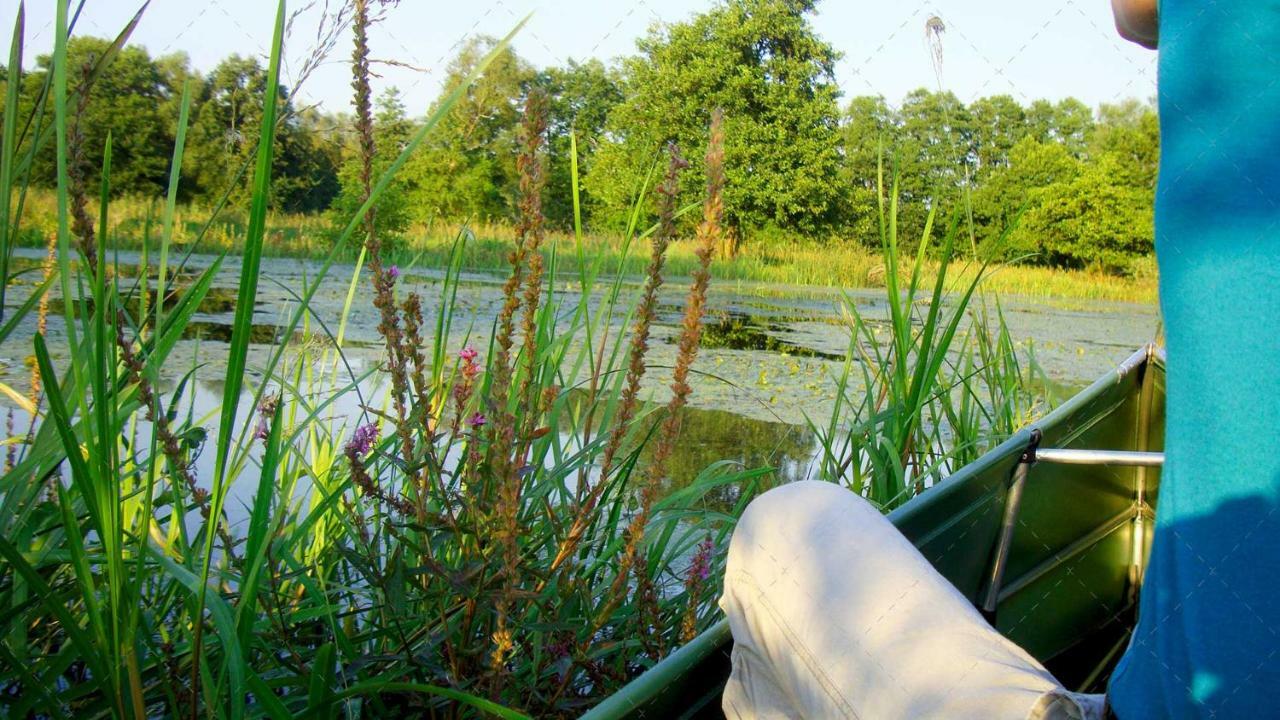 Janischs Fewo Im Spreewald, Terrasse, Grosser Garten Und Blick Inklusive Unterspreewald Luaran gambar