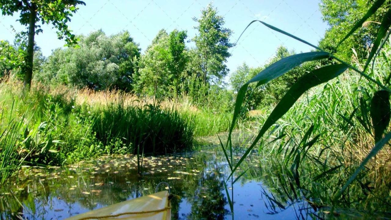 Janischs Fewo Im Spreewald, Terrasse, Grosser Garten Und Blick Inklusive Unterspreewald Luaran gambar