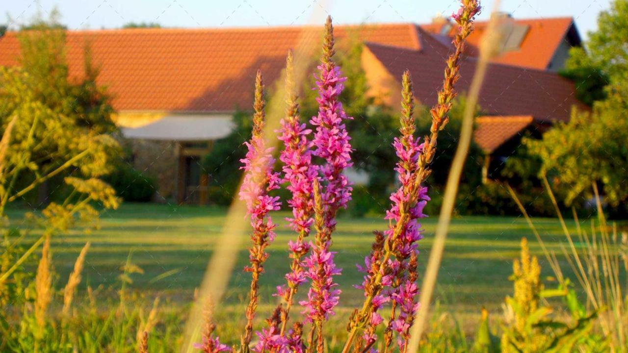 Janischs Fewo Im Spreewald, Terrasse, Grosser Garten Und Blick Inklusive Unterspreewald Luaran gambar