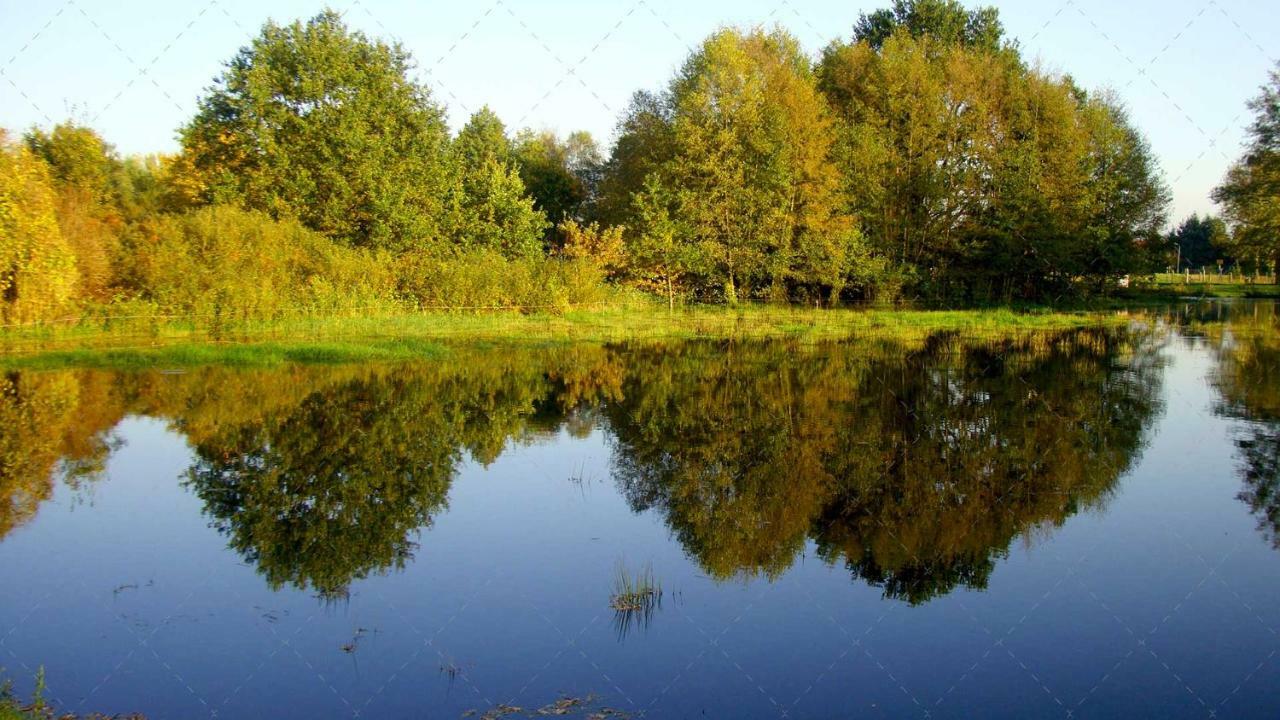 Janischs Fewo Im Spreewald, Terrasse, Grosser Garten Und Blick Inklusive Unterspreewald Luaran gambar
